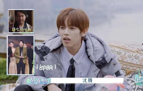 娱乐圈吃瓜关注谁,揭秘热门话题人物盘点